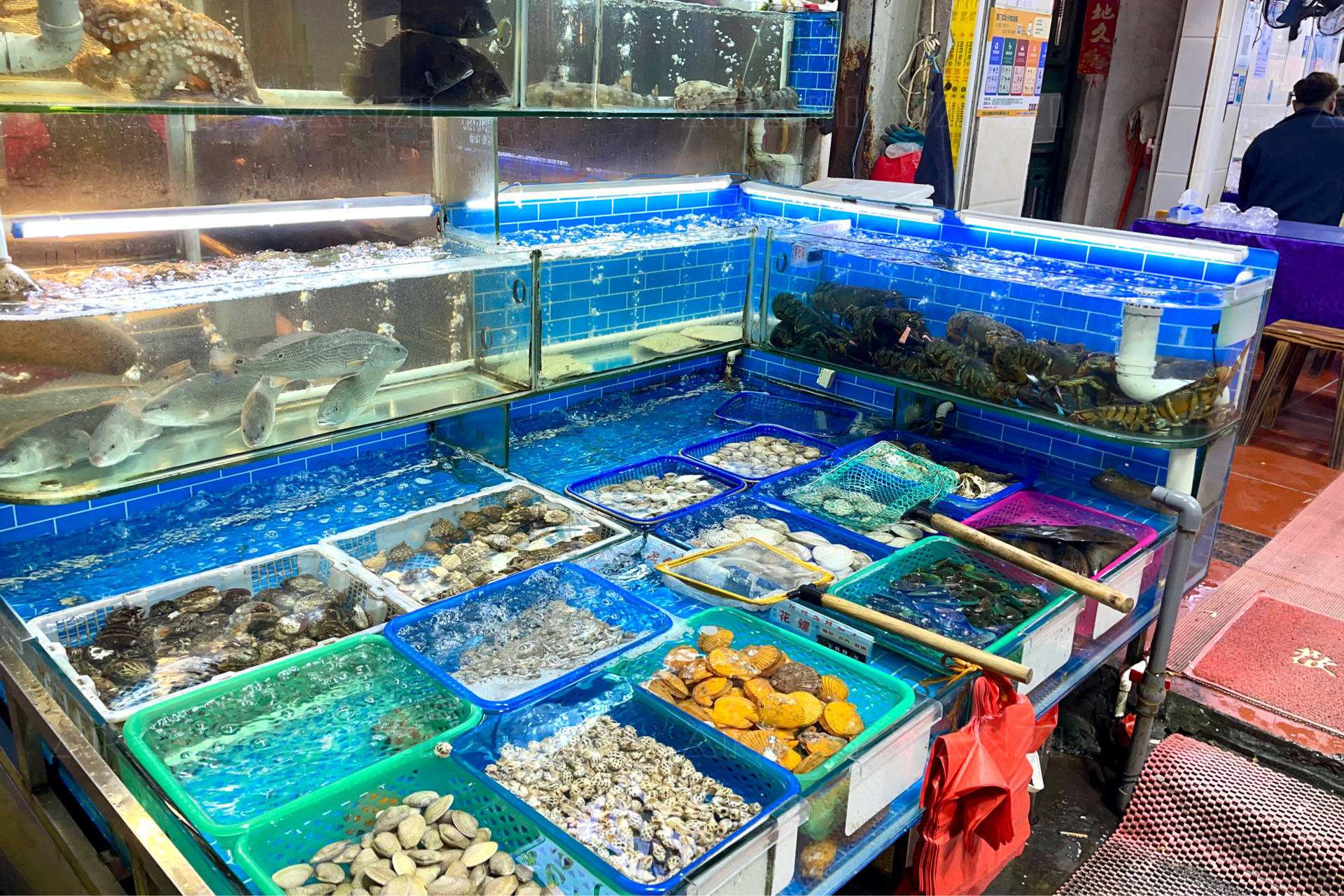 廈門八市里的珍饈 鑲金包銀養殖巴浪魚，海鮮加工店的獨特風味