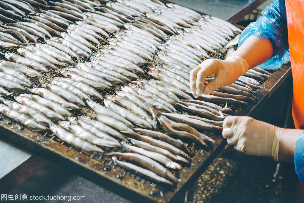 海產品加工 技術與市場的融合