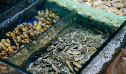 三亞旅游必打卡 第一市場海鮮琳瑯滿目，周邊加工川味一條街體驗獨特海產品加工