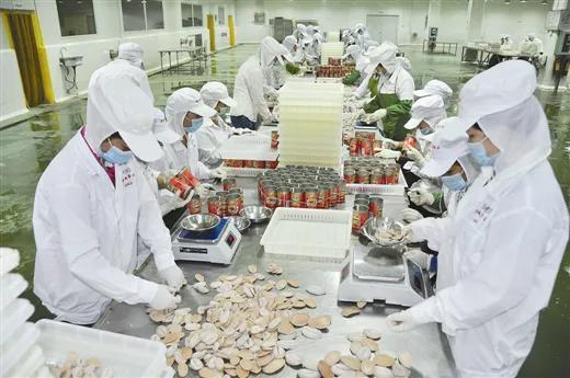 金花茶香飄邊陲，海陸門戶涌商機——探訪活力迸發的東興邊境經濟合作區