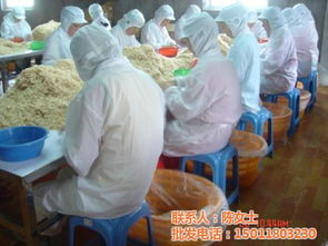 蝦皮姐姐貨源探秘 越秀區(qū)富華海產(chǎn)品加工廠批發(fā)銷售全攻略