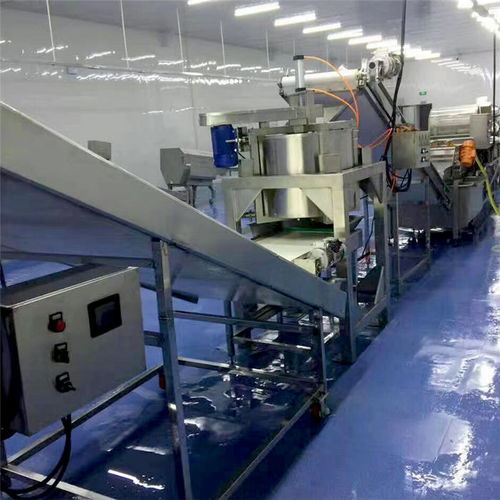 海產(chǎn)品氣泡翻滾式清洗機(jī)廠家多重優(yōu)惠，品質(zhì)保障，長(zhǎng)期有效