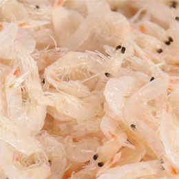 蝦皮價(jià)格解析與富華海產(chǎn)品加工廠的從化優(yōu)勢(shì)