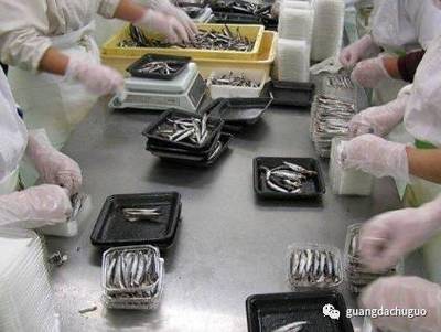 光大出國 把握機遇，成就未來——北海道海產與豐田汽車零部件加工項目再啟航