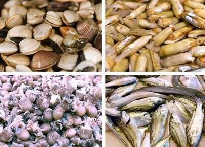 食品安全警鐘 遂溪海產品加工事件反思與行業規范重建