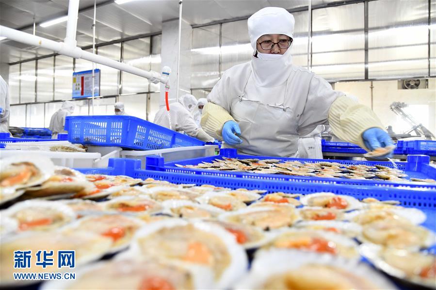 積極發展海洋食品加工產業，構建全產業鏈協同發展新格局