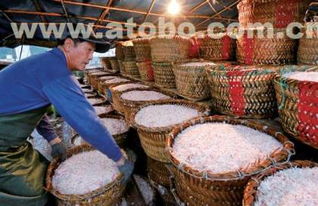 云浮蝦皮 富華海產品加工廠，您的特級蝦皮與海產加工優質之選