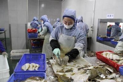 俄羅斯原料主導未來？琿春海產加工業迎來新動力